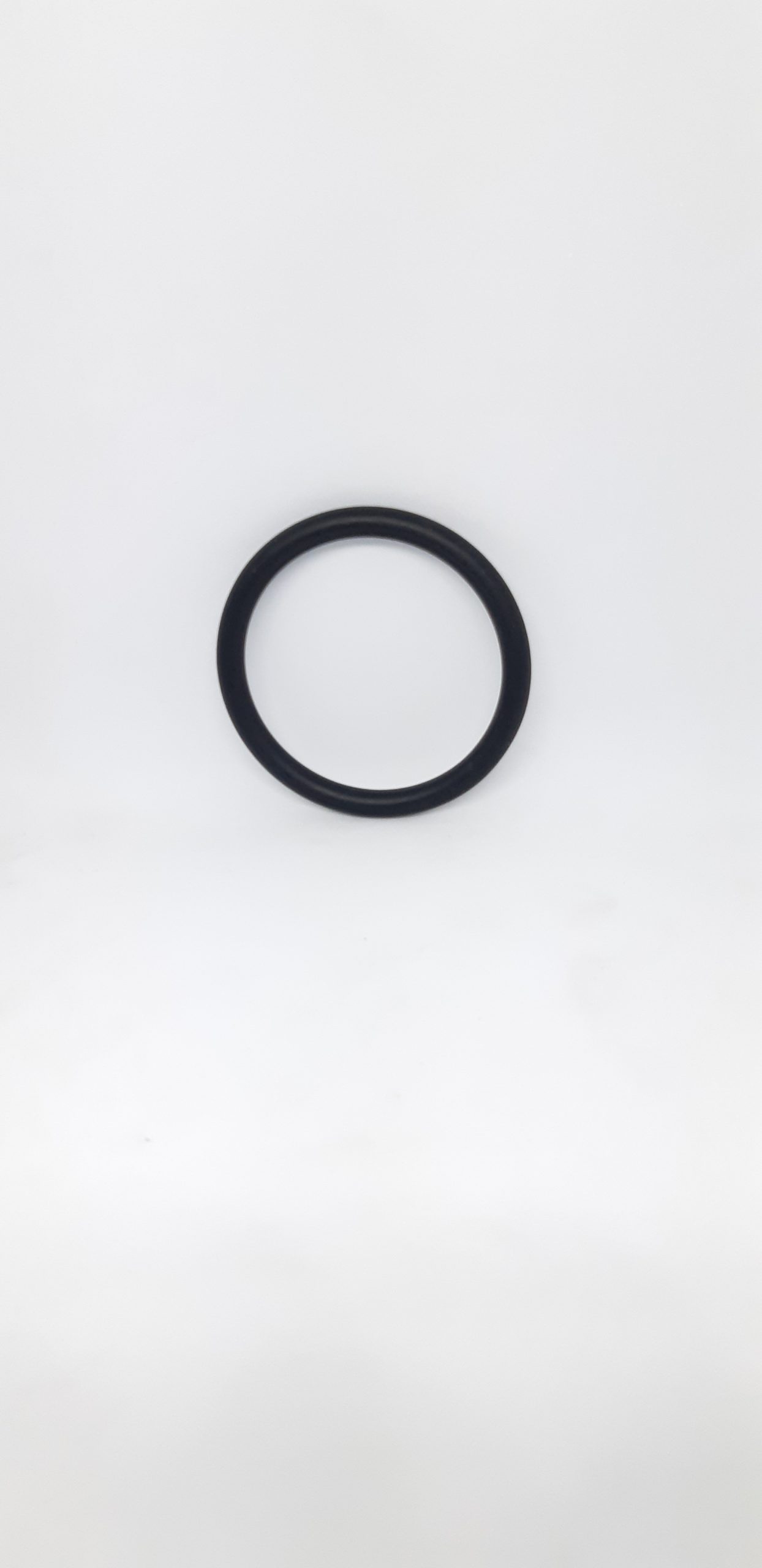 533218-scaled-1.jpg